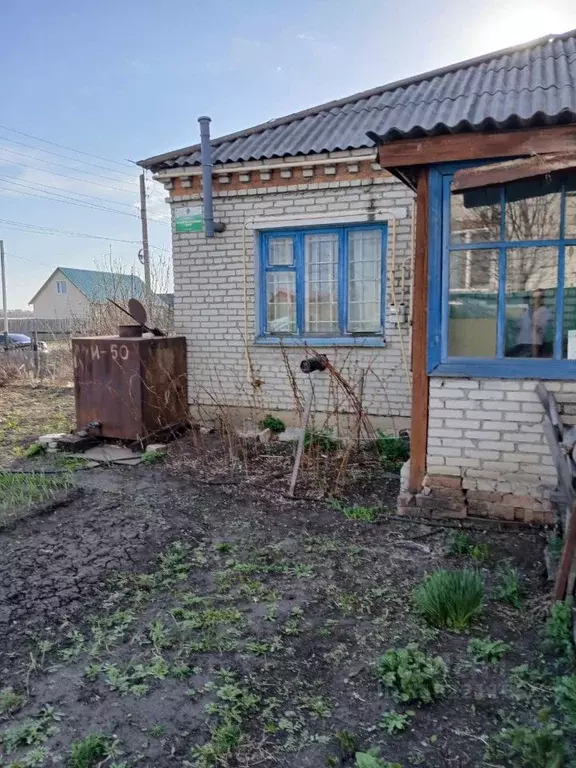 Помещение свободного назначения в Курганская область, Кетовский ... - Фото 0