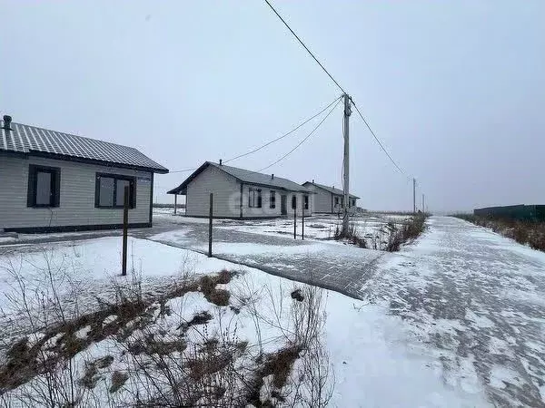 Дом в Пермский край, Большакино кв-л ул. Ежевичная (100 м) - Фото 1