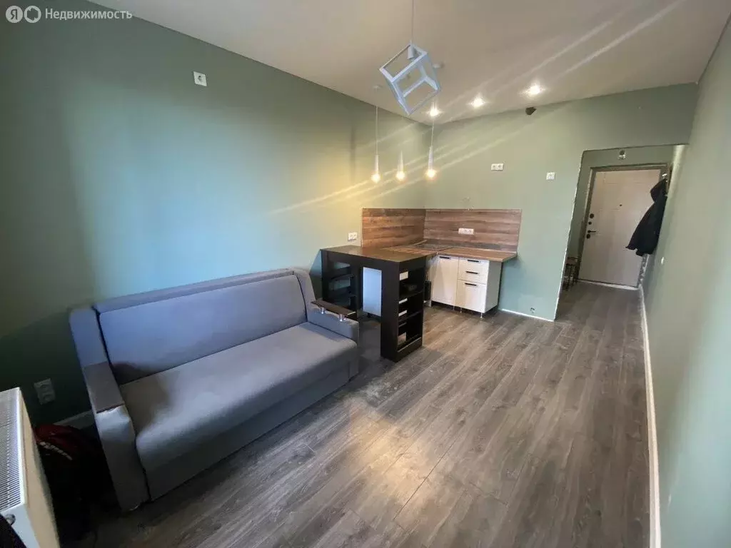 Квартира-студия: Санкт-Петербург, набережная реки Каменки, 15к1 (22 м) - Фото 1