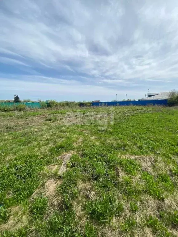 Участок в Башкортостан, Кармаскалинский район, д. Кабаково Советская ... - Фото 1