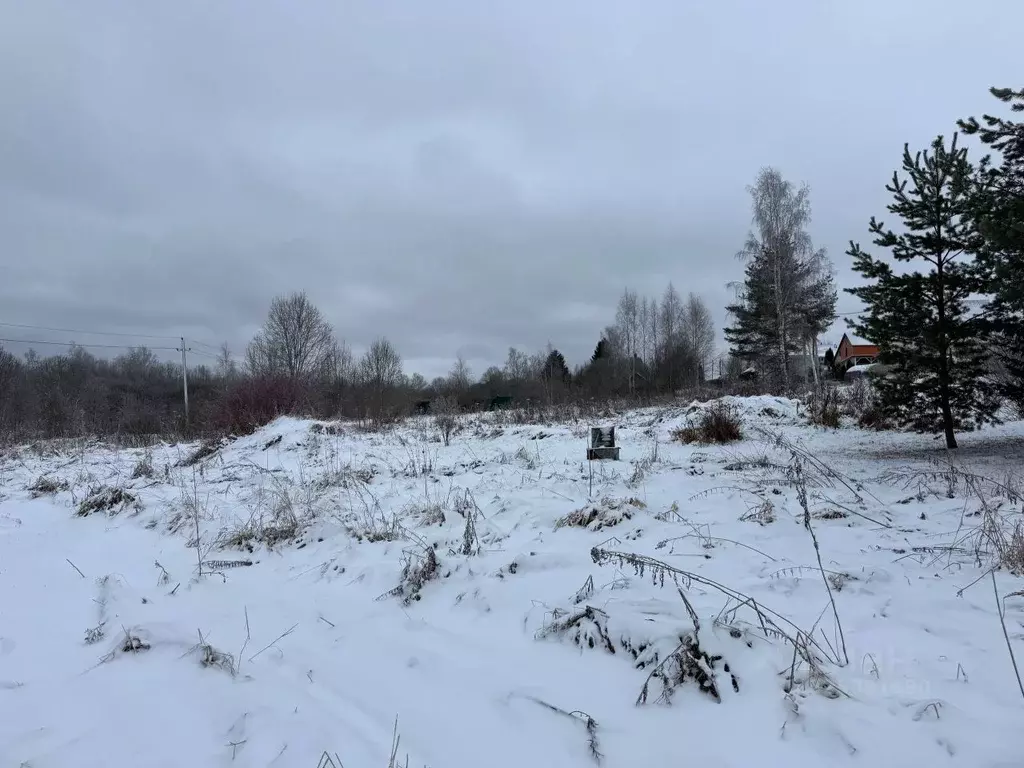 Участок в Московская область, Волоколамский муниципальный округ, пос. ... - Фото 2