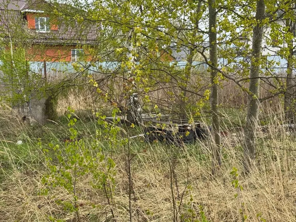 Участок в Московская область, Богородский городской округ, д. Белая ... - Фото 1
