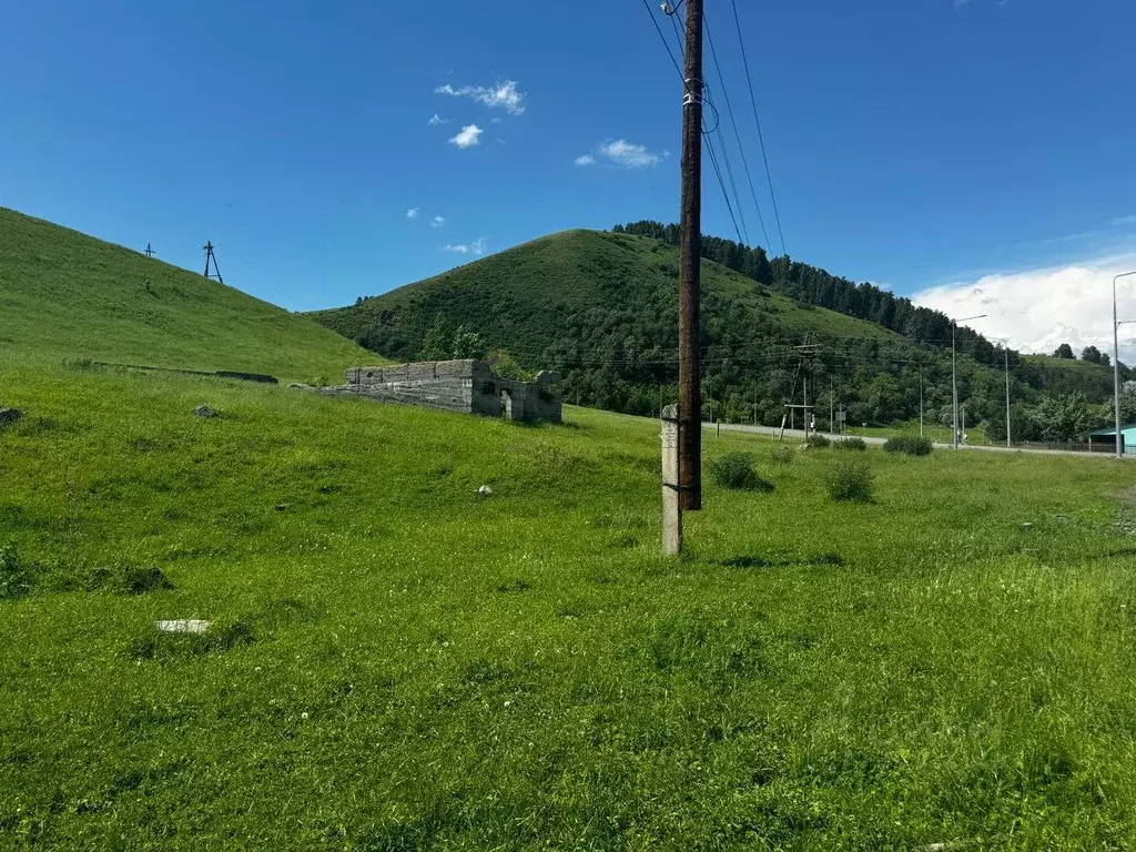 Участок в Алтайский край, Алтайский район, с. Ая Алтайская ул. (20.0 ... - Фото 0