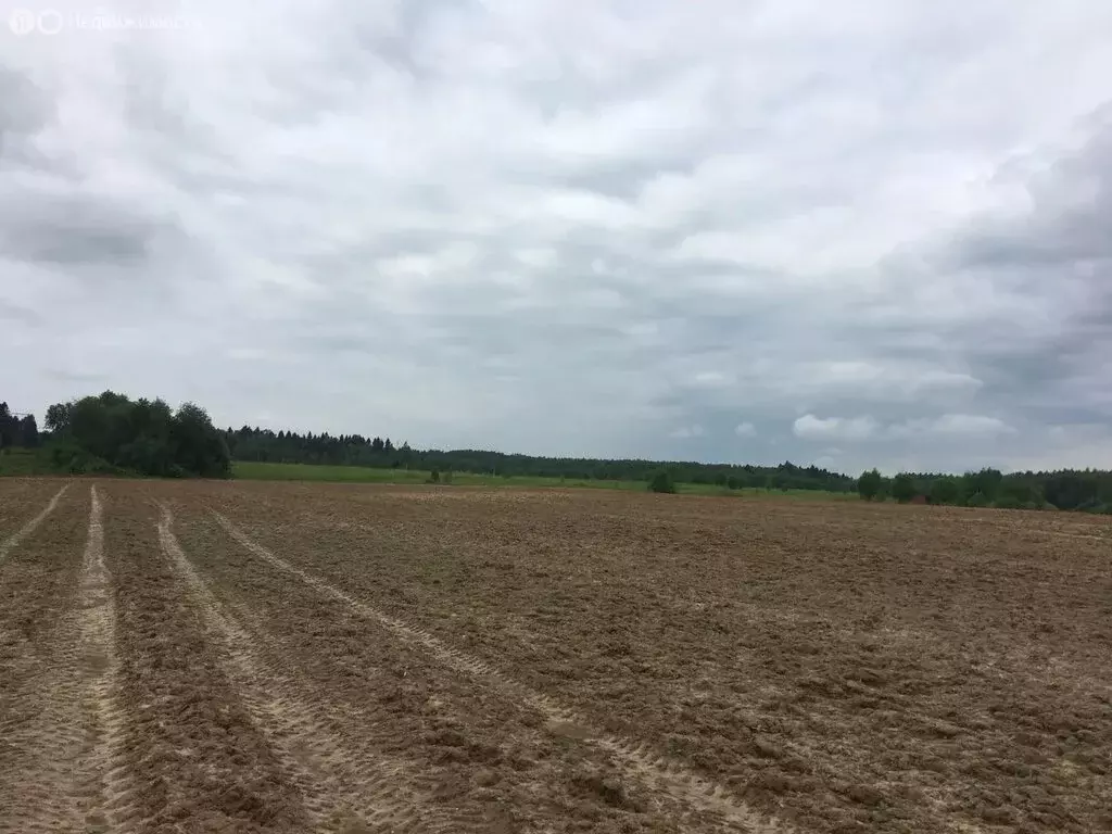 Участок в Московская область, Дмитровский муниципальный округ, деревня ... - Фото 2