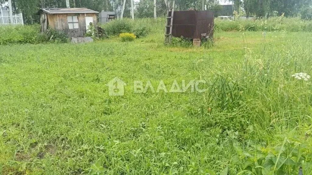 Участок в Новосибирская область, Новосибирский район, Барышевский ... - Фото 1