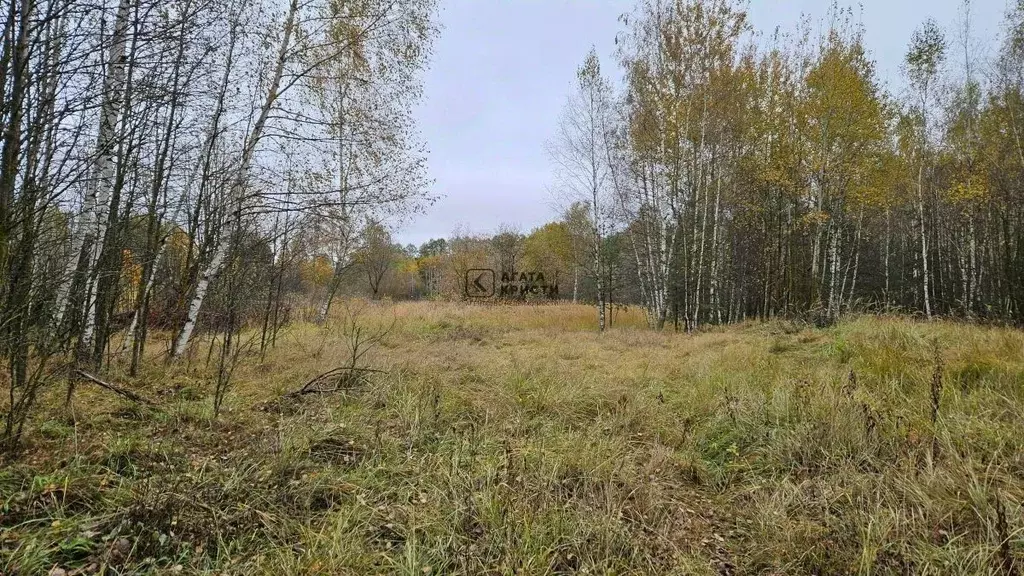 Участок в Московская область, Павлово-Посадский городской округ, с. ... - Фото 2