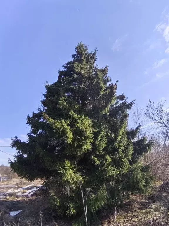 Дом в Ленинградская область, Лодейнопольский район, Доможировское ... - Фото 1