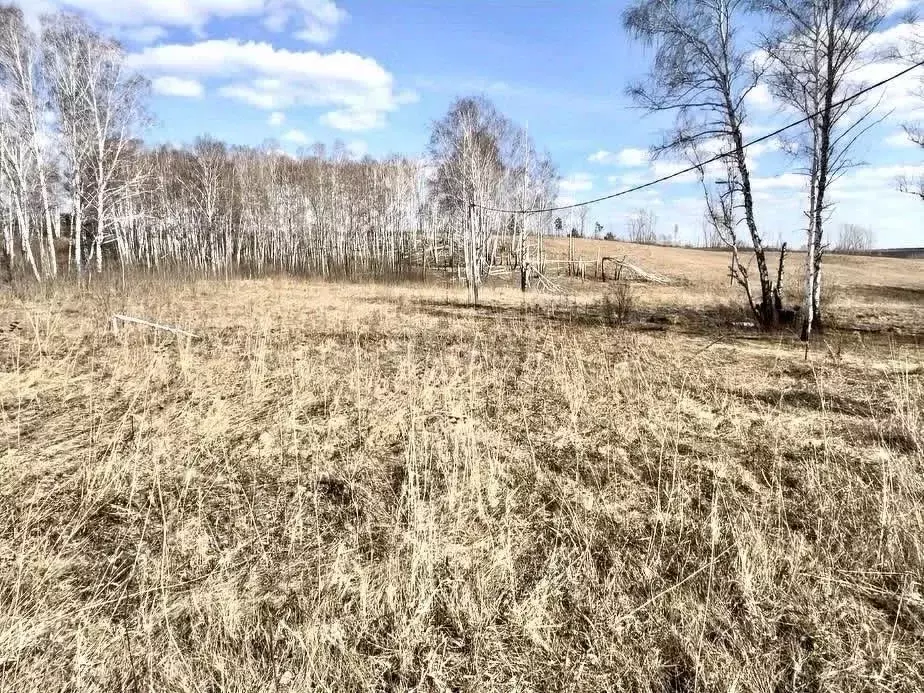 Участок в Красноярский край, Емельяновский район, Шуваевский ... - Фото 0