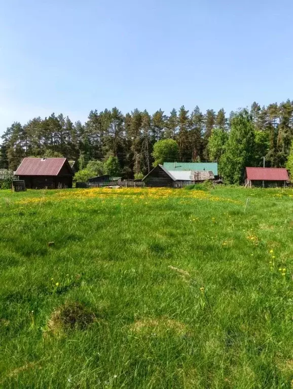 Участок в Тверская область, Осташковский муниципальный округ, д. ... - Фото 2