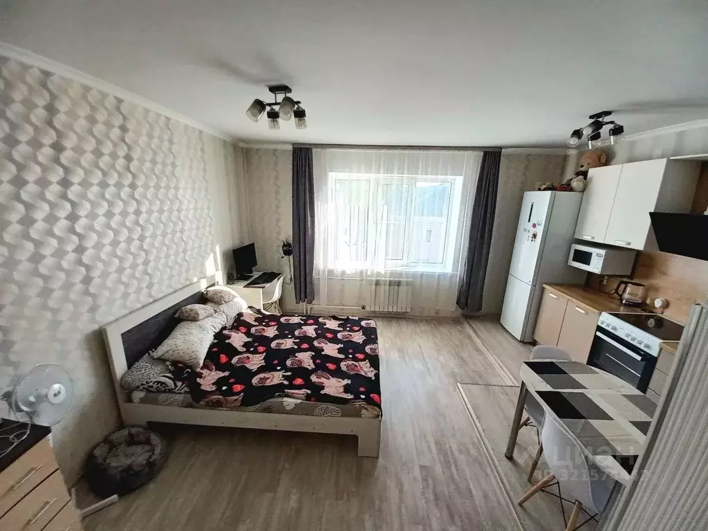 Студия Кемеровская область, Кемерово пер. 3-й Иланский, 7А (27.7 м) - Фото 1