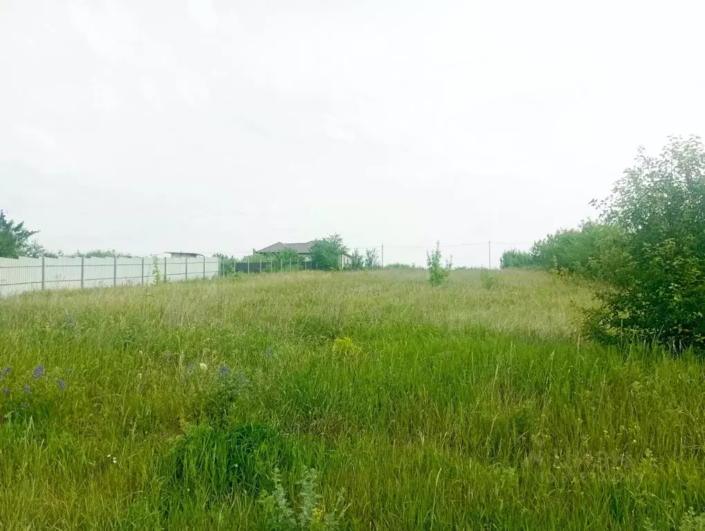 Участок в Белгородская область, Белгородский район, Ериковское с/пос, ... - Фото 0