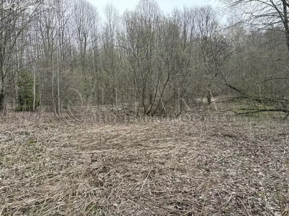 Участок в Алёховщинское сельское поселение, садоводческое ... - Фото 2