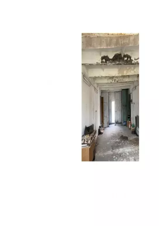 Помещение свободного назначения в Новосибирская область, Новосибирский ... - Фото 2