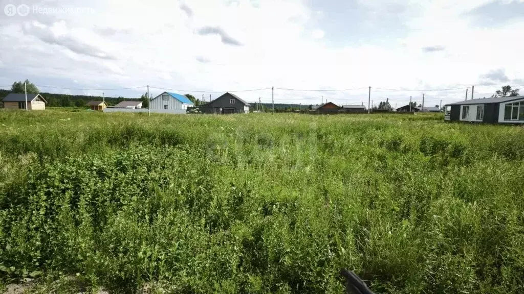 Участок в Новосибирский район, село Кубовая (7.73 м) - Фото 2