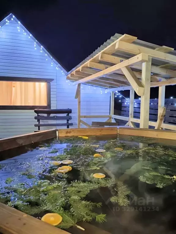 Дом в Алтай, Чемальский район, с. Чемал  (42 м) - Фото 2