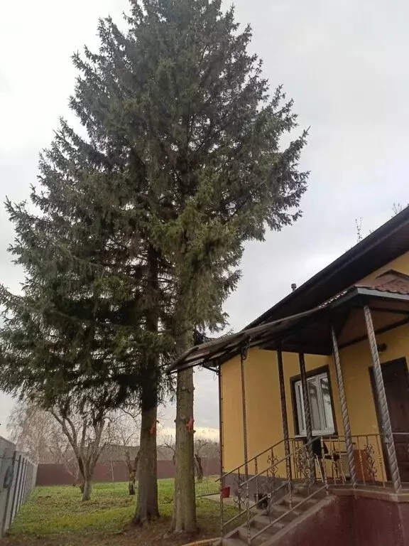 Дом в Железногорский район, Разветьевский сельсовет, село Ажово, ... - Фото 2