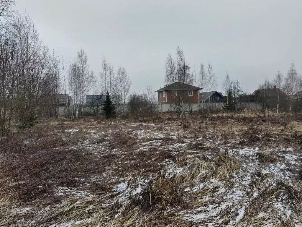 Участок в Московская область, Чехов муниципальный округ, с. Молоди ул. ... - Фото 0