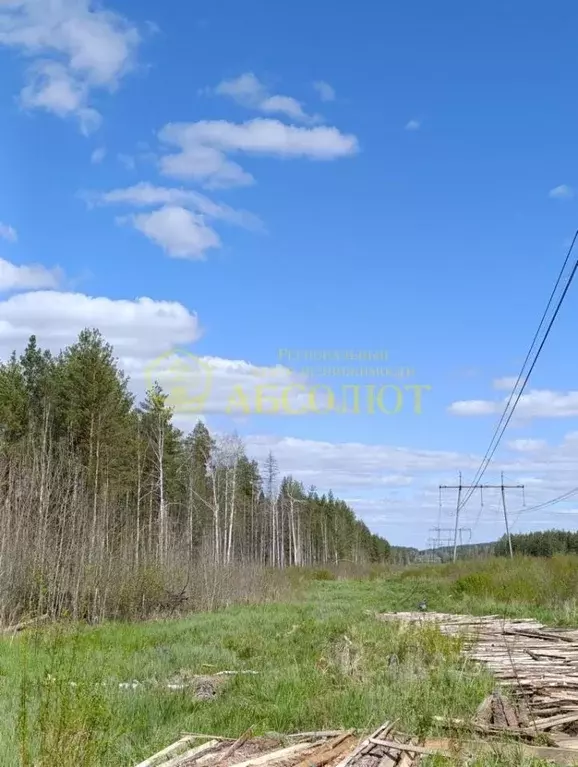Участок в Свердловская область, Ревда муниципальный округ, с. ... - Фото 0