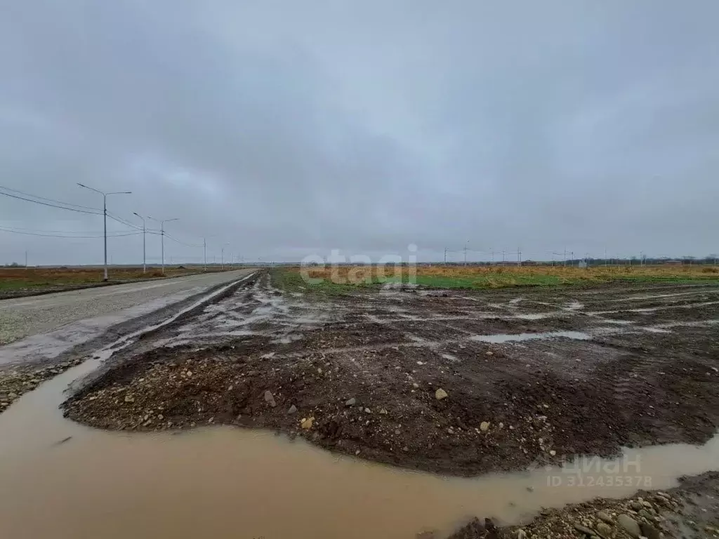 Участок в Адыгея, Майкоп Птицевод СДТ, ул. Виноградная (5.0 сот.) - Фото 1