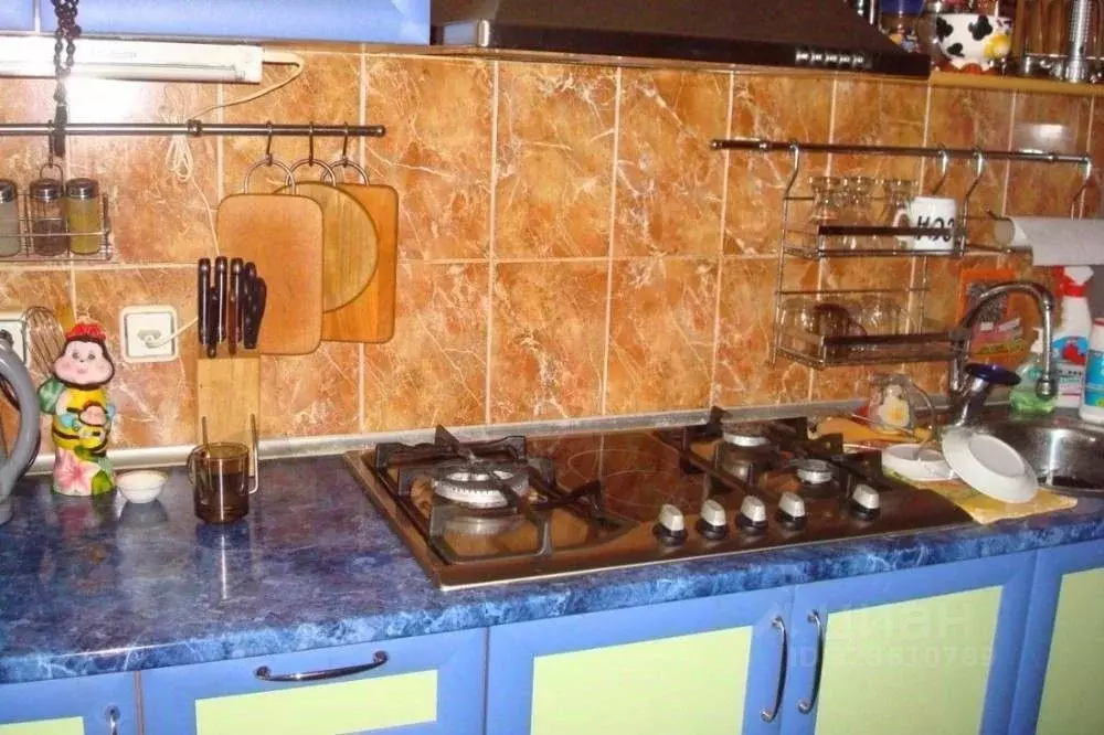 4-к кв. Крым, Сакский район, Лесновское с/пос, с. Прибрежное пер. ... - Фото 2