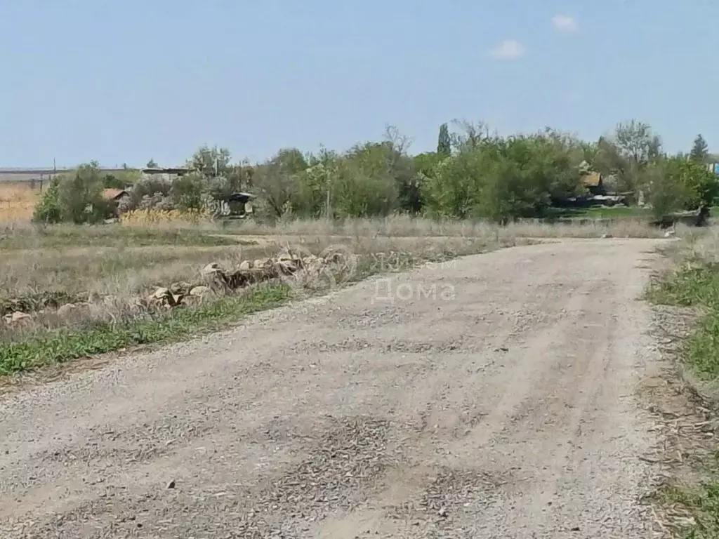 Участок в Волгоградская область, Городищенский район, Россошенское ... - Фото 1