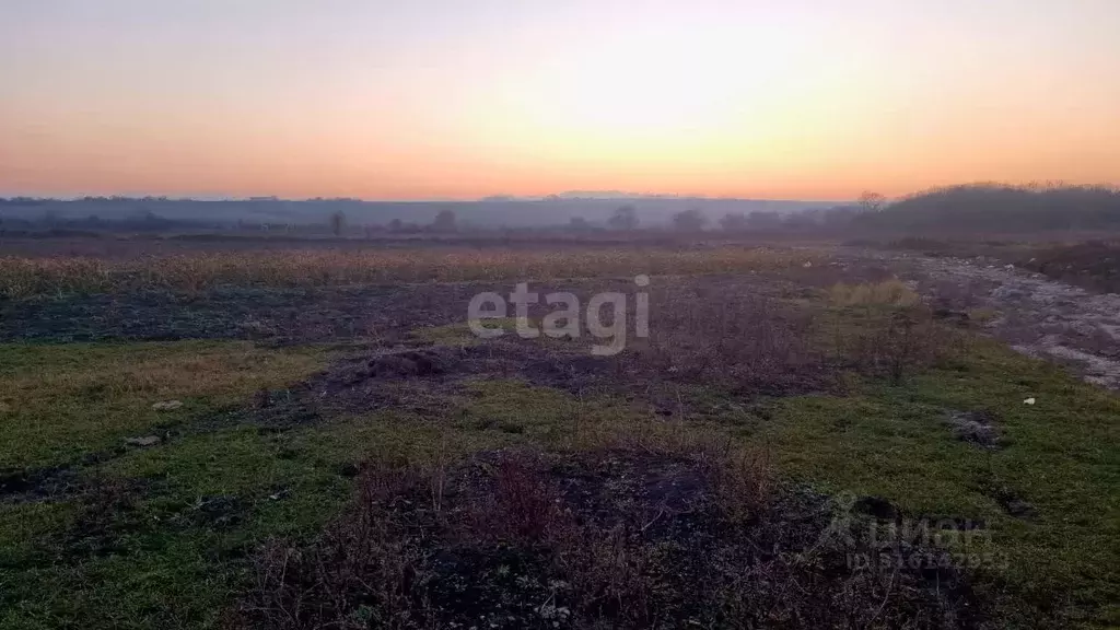 Участок в Краснодарский край, Новороссийск городской округ, ... - Фото 0