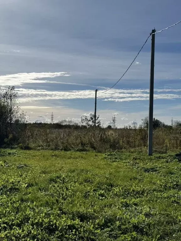 Участок в Ленинградская область, Волосовский район, Большеврудское ... - Фото 2