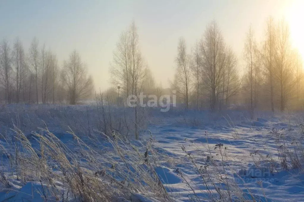 Участок в Свердловская область, Каменский городской округ, с. ... - Фото 0