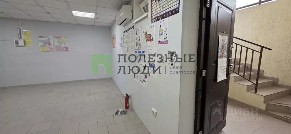 Помещение свободного назначения в Краснодарский край, Геленджик ул. ... - Фото 1