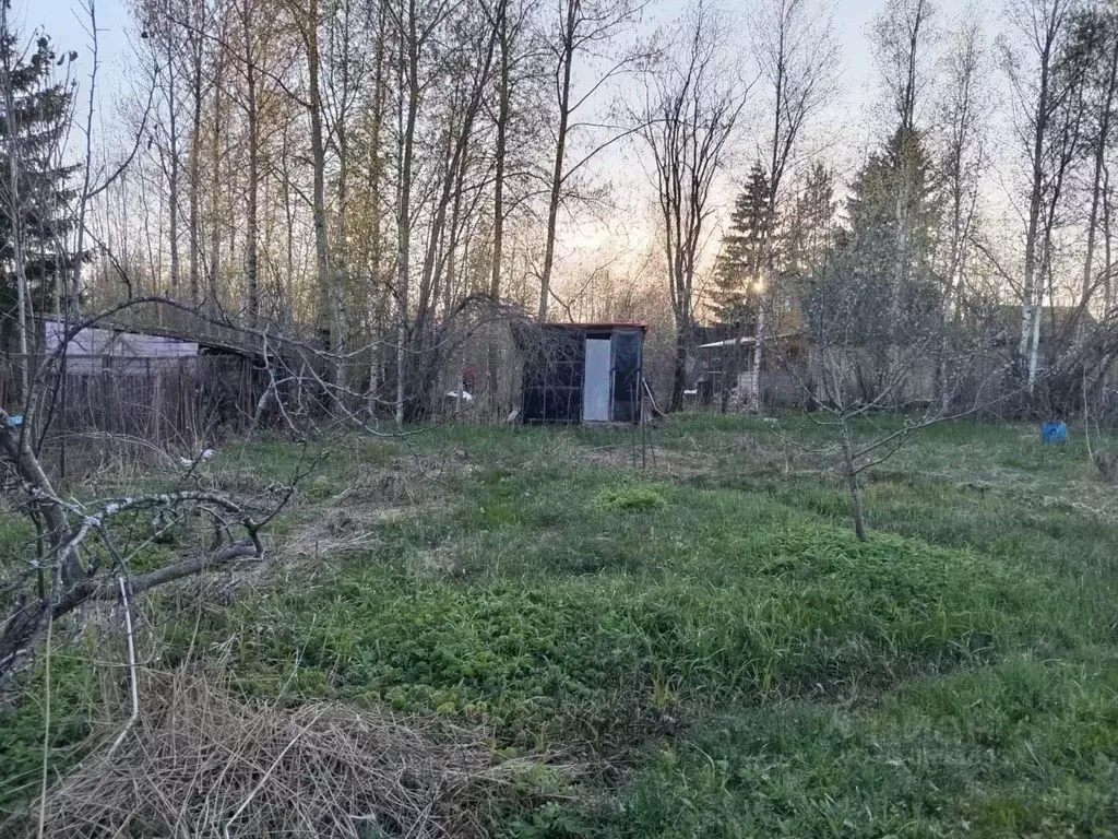 Участок в Ленинградская область, Волховский район, Кисельнинское ... - Фото 0