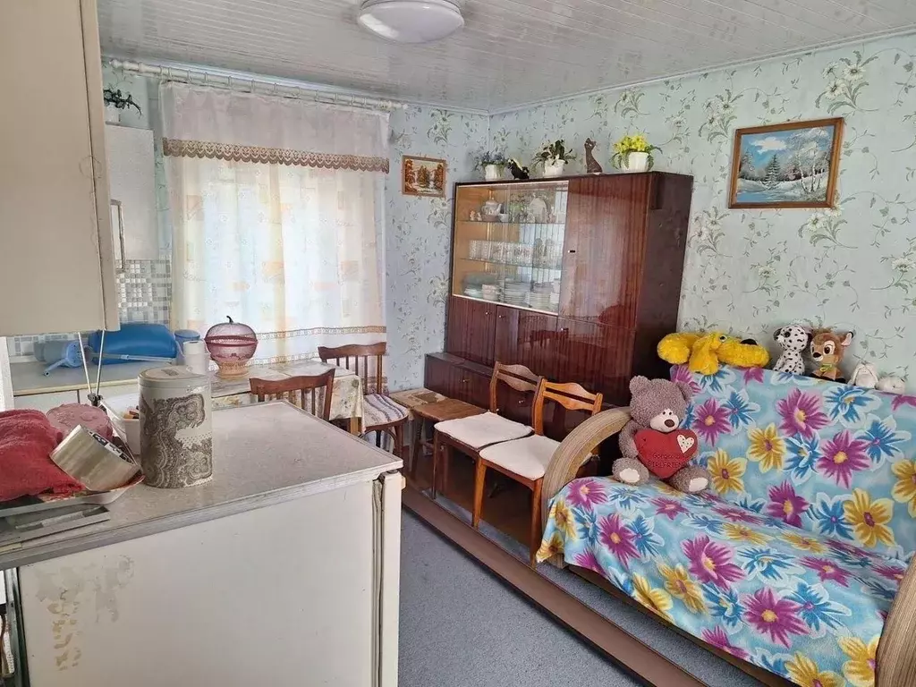 Дом в Омская область, Омск Березовая Роща СНТ, аллея 18-я (26 м) - Фото 2