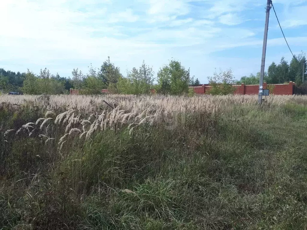 Участок в Московская область, Кашира городской округ, д. Никулино  ... - Фото 1