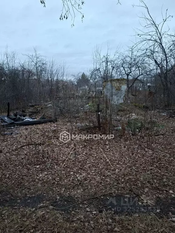 Участок в Челябинская область, Челябинск Дружба СНТ, 1-656 (4.31 сот.) - Фото 1