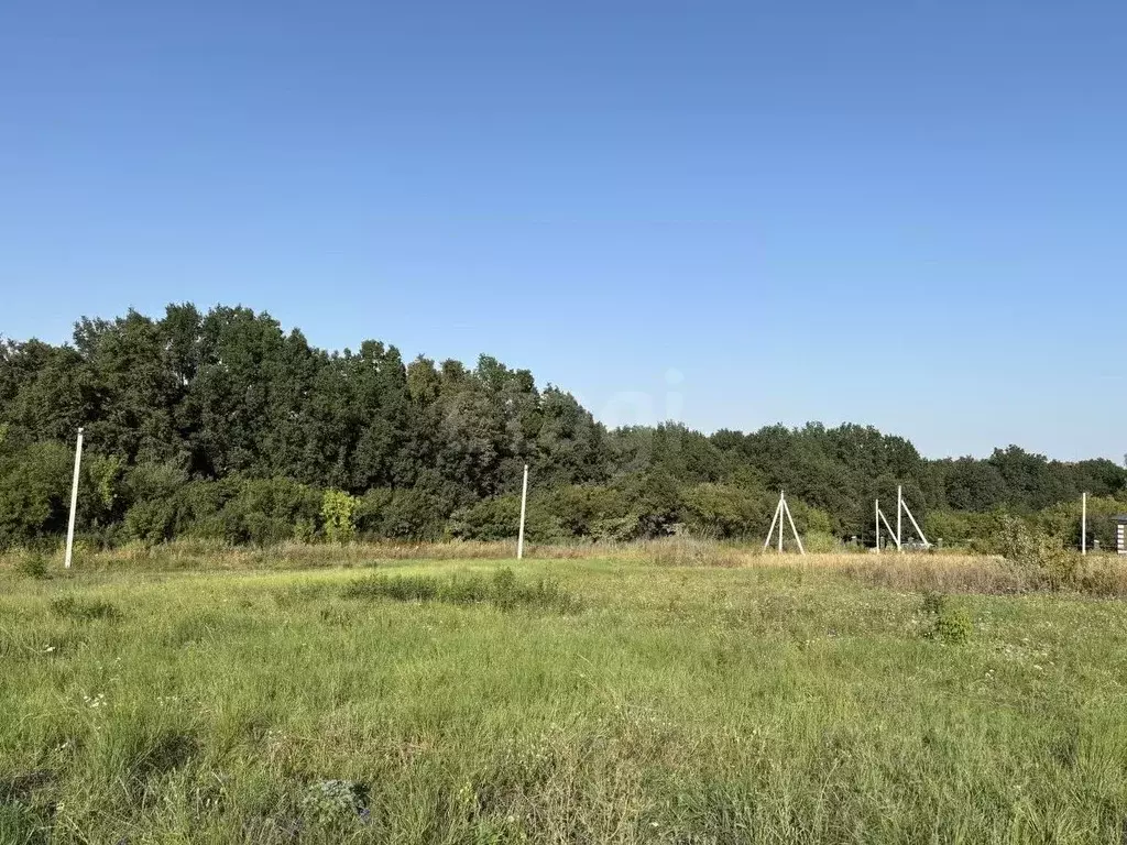 Участок в Белгородская область, Белгородский район, Дубовское с/пос, ... - Фото 1