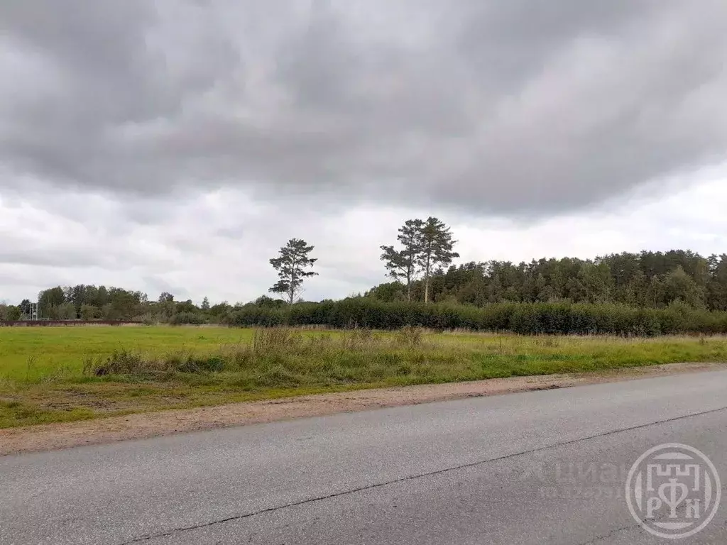 Участок в Ленинградская область, Выборгский район, Красносельское ... - Фото 1