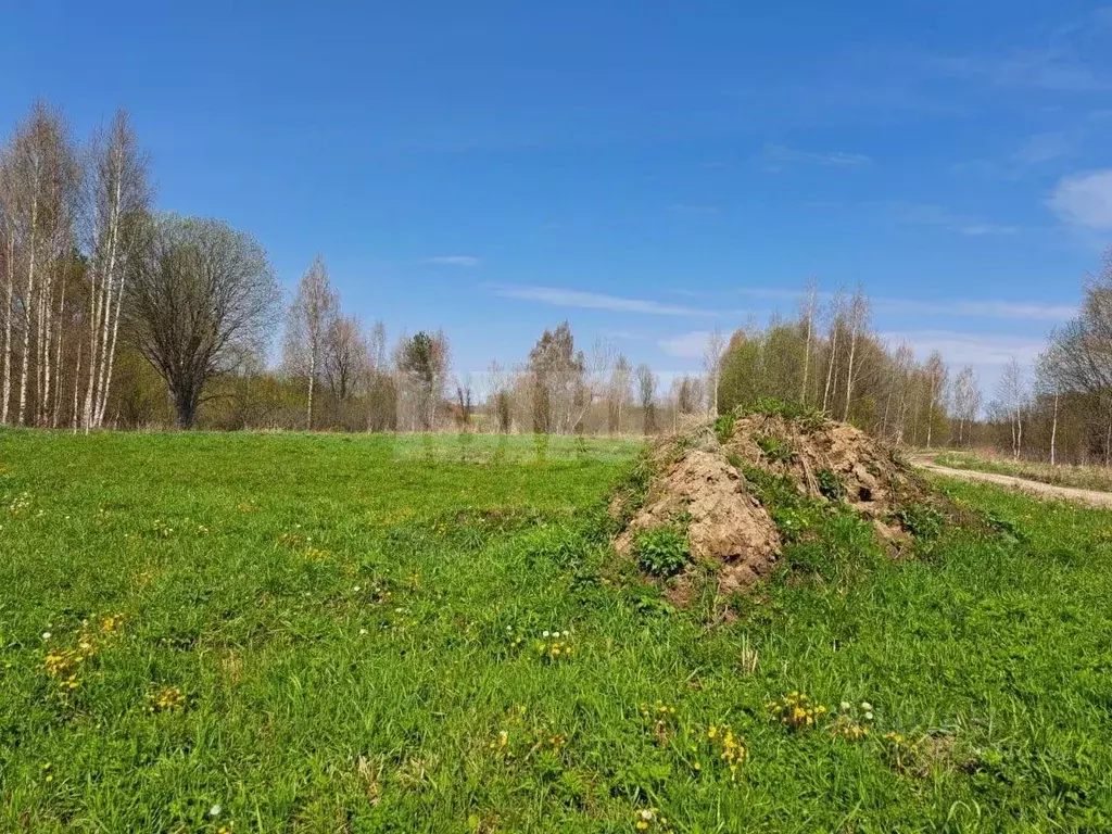 Участок в Вологодская область, Сокольский муниципальный округ, с. ... - Фото 0