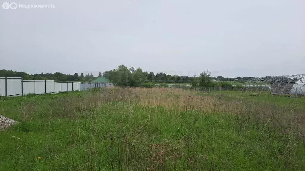 Участок в Новгородский муниципальный район, Ракомское сельское ... - Фото 1