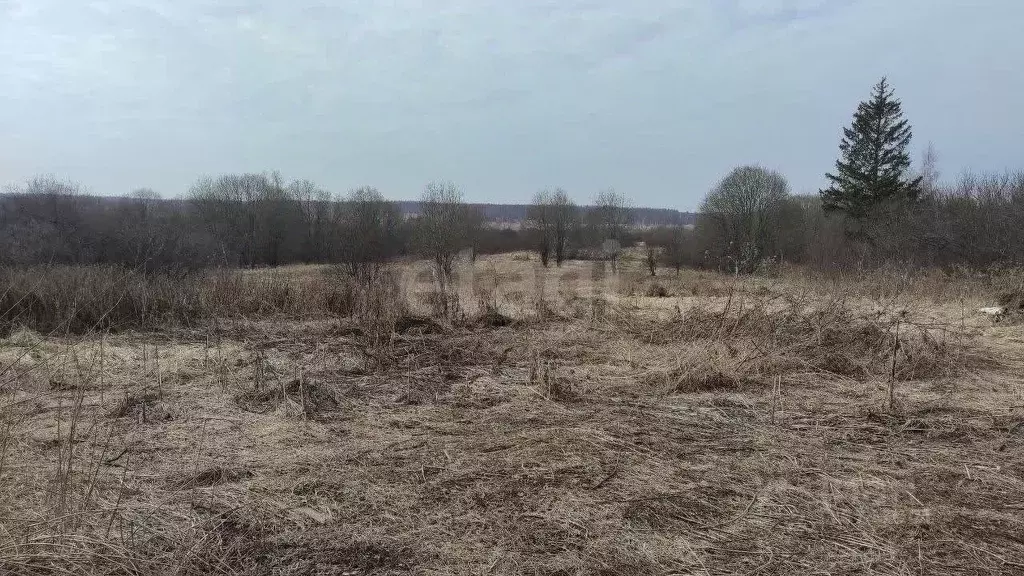 Участок в Ярославская область, Гаврилов-Ямский муниципальный округ, с. ... - Фото 1