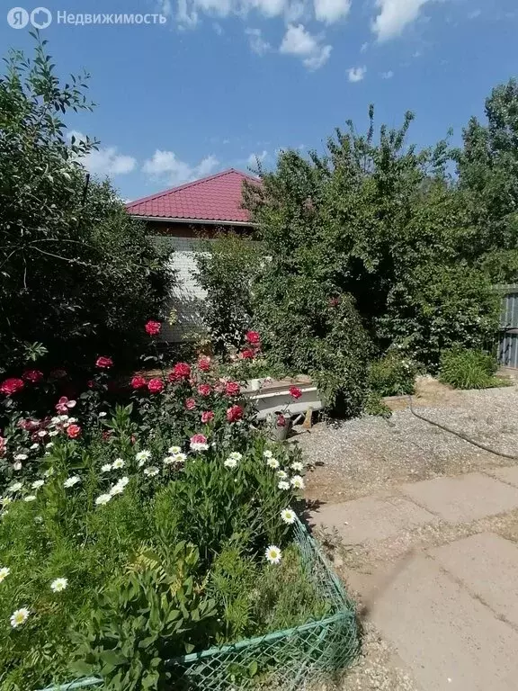 Дом в Енотаевка, улица Кирова, 70А/2А (50 м) - Фото 2