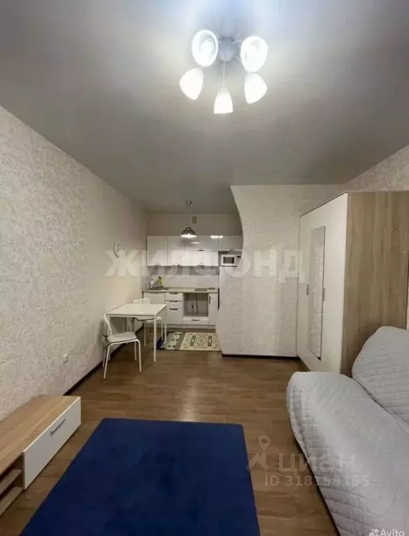 Студия Новосибирская область, Новосибирск ул. Виктора Уса, 9 (28.0 м) - Фото 0