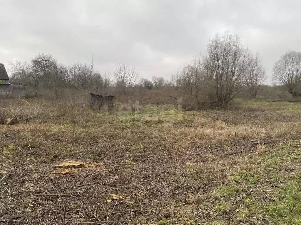 Дом в Брянская область, Навлинский район, Бяковское с/пос, д. ... - Фото 1