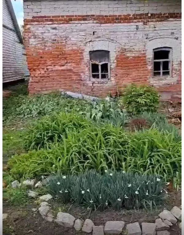 Участок в Липецкая область, Данковский район, Малинковский сельсовет, ... - Фото 0