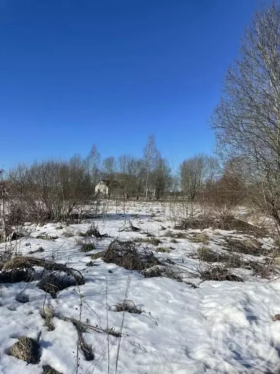 Участок в Ленинградская область, Лужский район, Дзержинское с/пос, ... - Фото 2