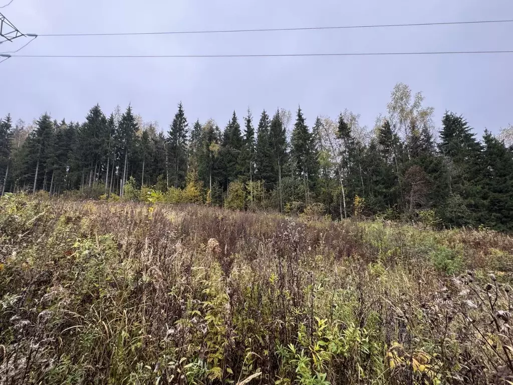 Участок в Московская область, Дмитровский муниципальный округ, ... - Фото 1