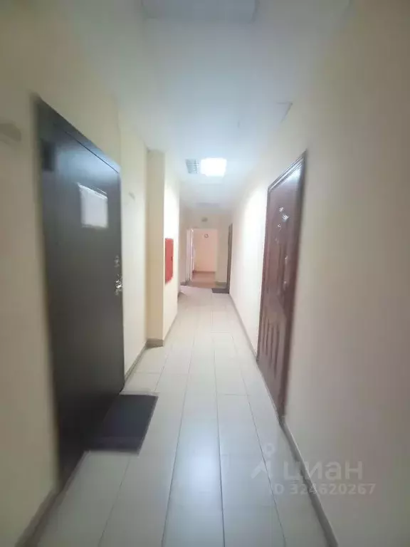 Офис в Татарстан, Казань ул. Гладилова, 27 (12 м) - Фото 2