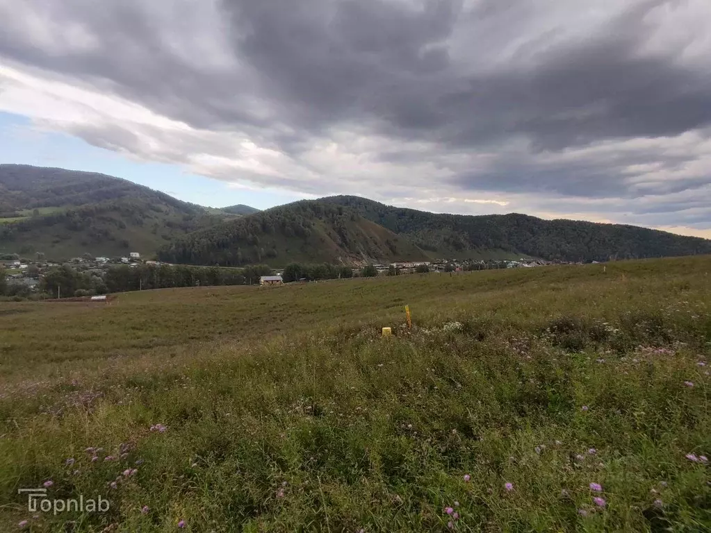 Участок в Алтай, Майминский район, с. Бирюля ул. Таркольская, 37 (14.1 ... - Фото 2