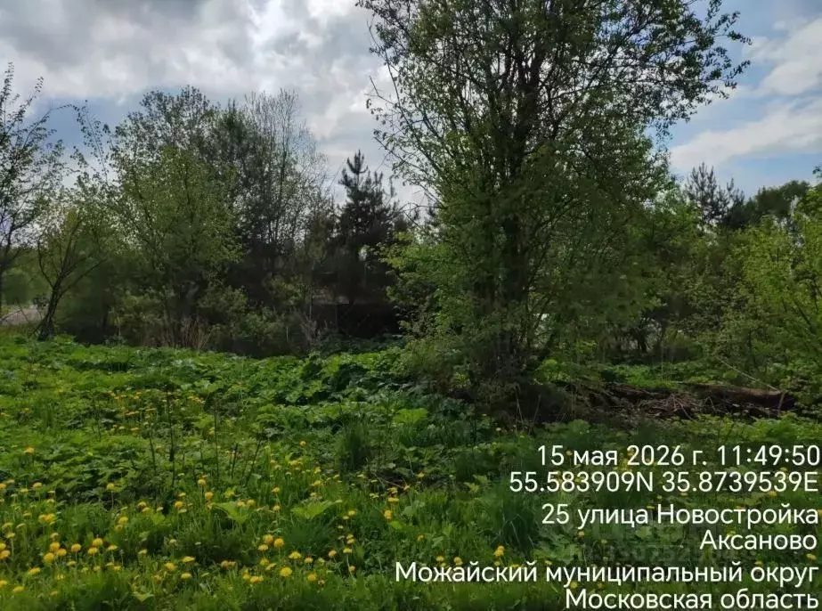 Участок в Московская область, Можайский муниципальный округ, д. ... - Фото 1