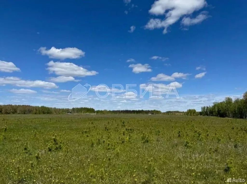 Участок в Тюменская область, Тюменский муниципальный округ, Победа кп  ... - Фото 2