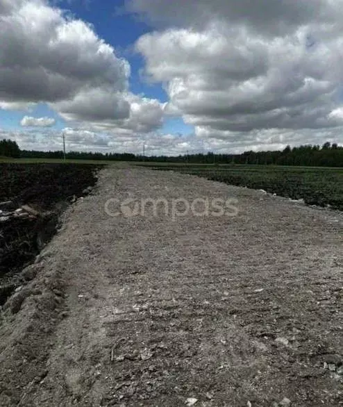 Участок в Тюменская область, Тюменский район, с. Горьковка Сибирская ... - Фото 0