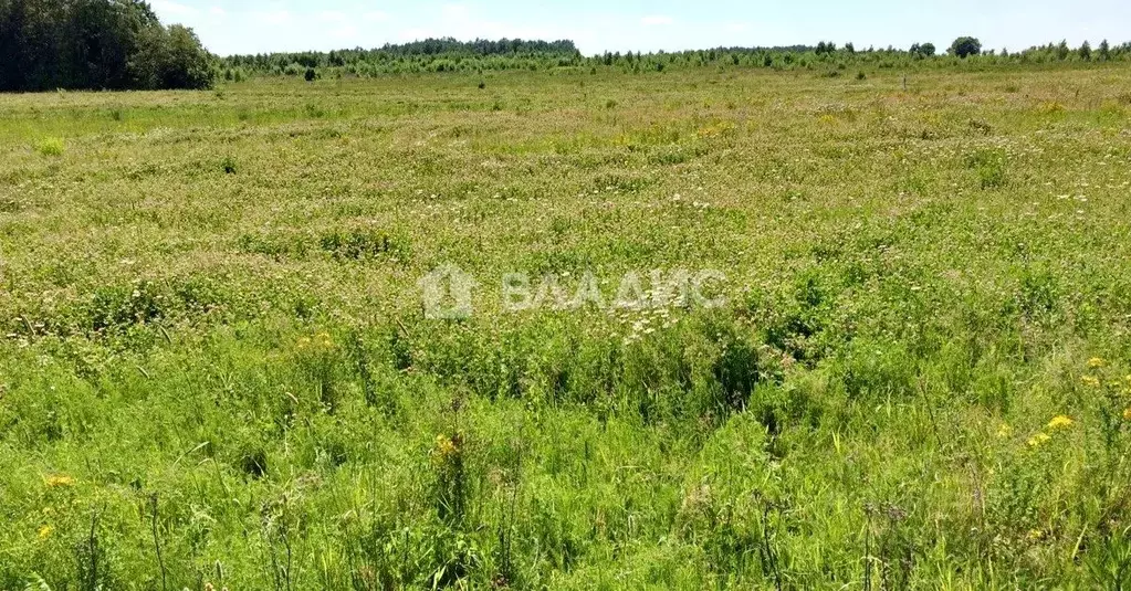 Купить Ижс В Калужской Области